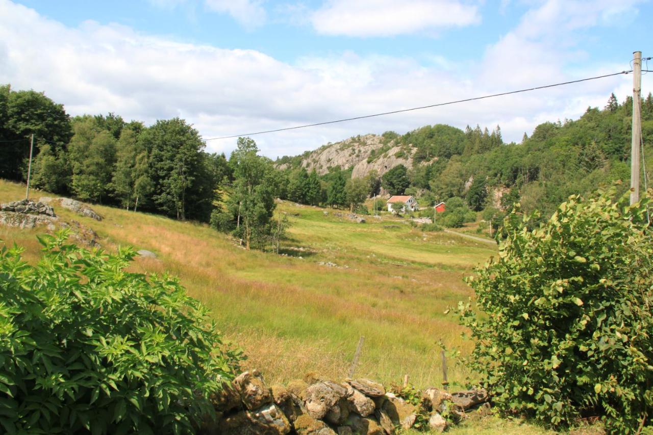 Lille Gjersdal - Et Unikt Opphold 100 Ar Tilbake I Tid Villa Farsund Dış mekan fotoğraf